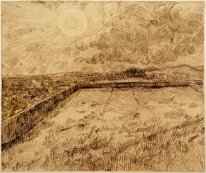 Felder und Ölbäume
